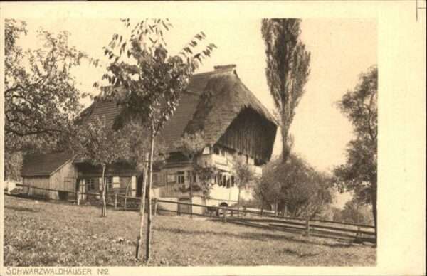 Schwarzwaldhaeuser