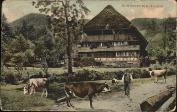 Schwarzwaldhaeuser