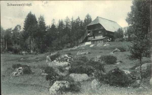 Schwarzwaldhaeuser