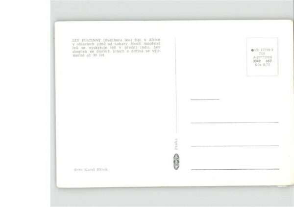 Loewe – Bild 2