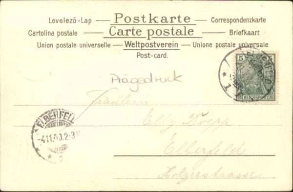 Saiteninstrumente Frau Blume – Bild 2
