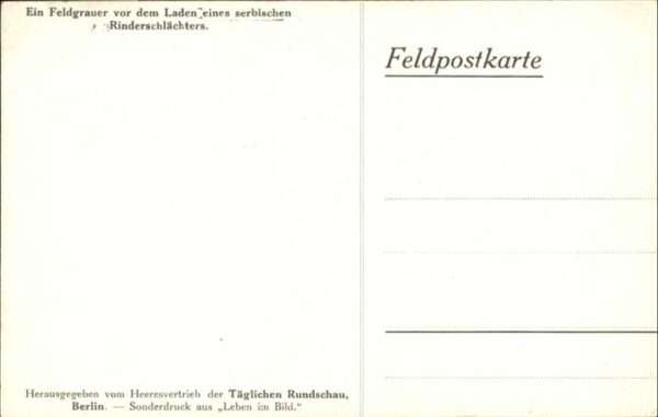 Soldatenleben Feldgrauer Laden Serbien Rinderschlächt – Bild 2