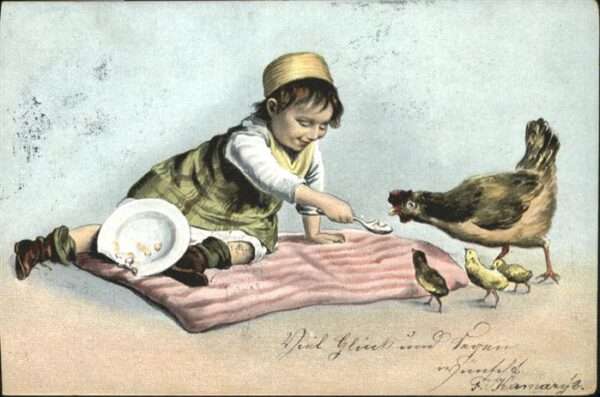 Gefluegel Huhn Küken Fütterung
