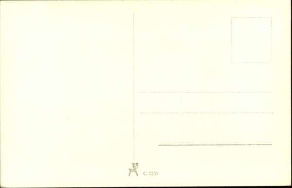 Verlag Film-Foto-Verlag Nr. Willy Birgel A 3617/2 – Bild 2