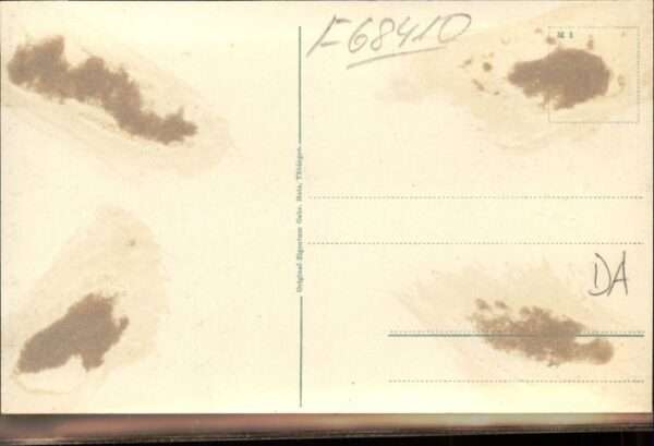 Drei-Aehren Trois-Epis Drei-Ähren Trois Epis Elsass – Bild 2