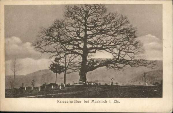 Markirch Elsass Grab