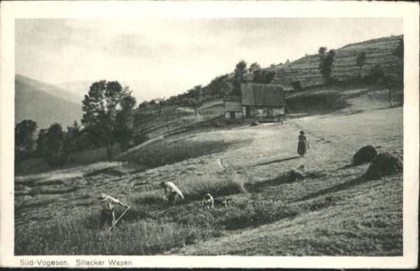 Grand Ballon Sillacker_Wasen Vogesen