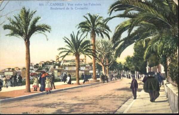 Cannes Alpes-Maritimes Cannes Palmiers Boulevard Croisette