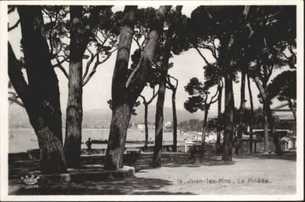 Juan-les-Pins Antibes 06 Juan-les-Pins Pinede