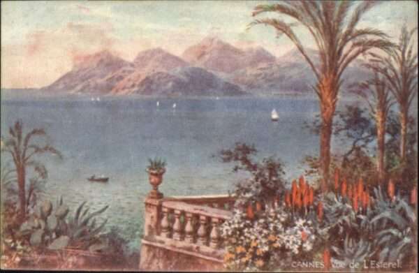Cannes Alpes-Maritimes Cannes Esterel