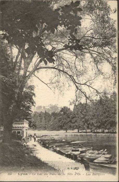 Lyon France Lyon Lac Parc Barques