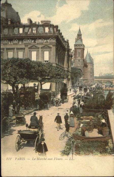 Paris Marche Fleurs
