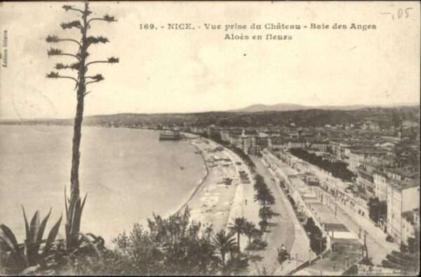 Nice Alpes Maritimes Nice