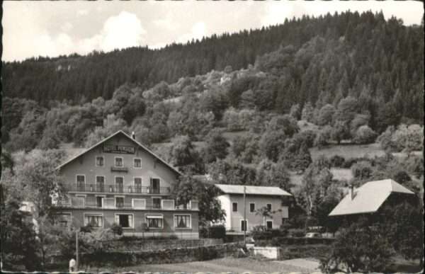 Fillinges Juffly Hotel des Cedres