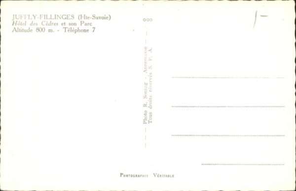 Fillinges Juffly Hotel des Cedres – Bild 2