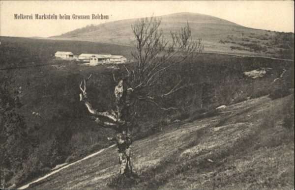 Grand Ballon Melkerei Markstein