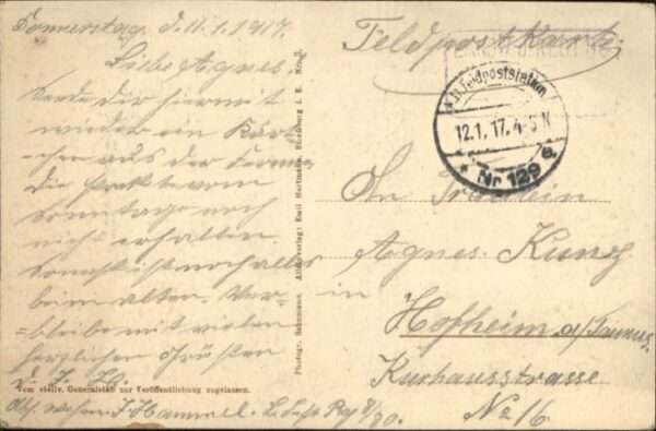 Bionville Noires_Colas – Bild 2