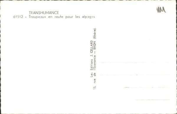 Bron Transhumance Troupeaux en route pur les – Bild 2