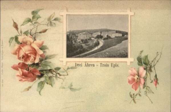 Drei-Aehren Trois-Epis Trois-Epis