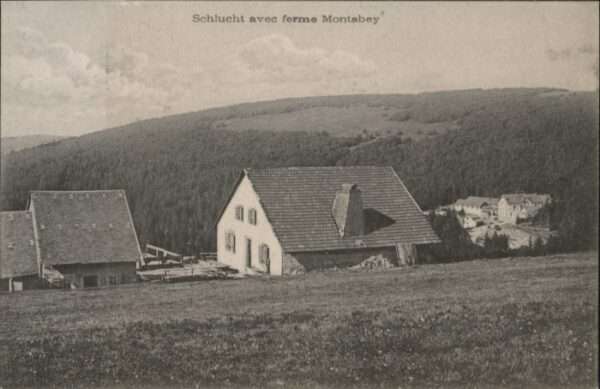 Schlucht Montabey