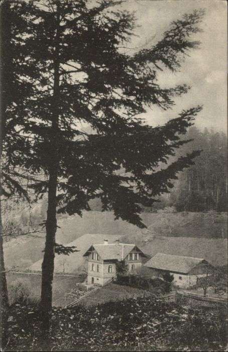 Altweier Forsthaus Bärenhütte x