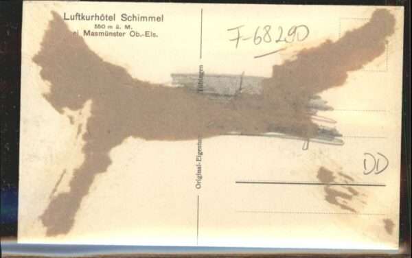 Masmuenster otel Schimmel – Bild 2