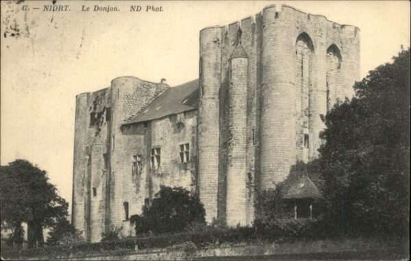 Niort 79 Niort Donjon