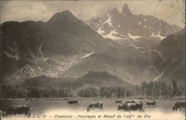 Chamonix Chamonix-Mont-Blanc Paturages Massif Ai