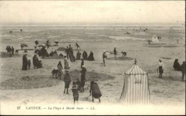 Cayeux-sur-Mer Plage Maree Basse