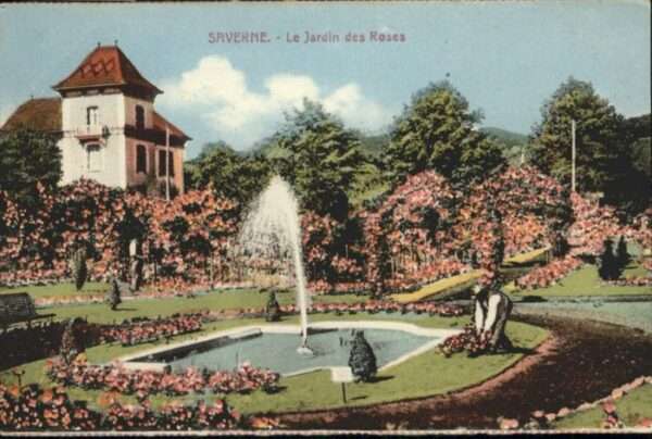 Saverne Jardin Roses Brunnen