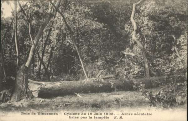 Vincennes Cyclone
