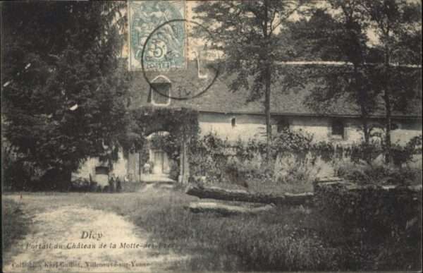 Dicy Chateau Motte des Pres