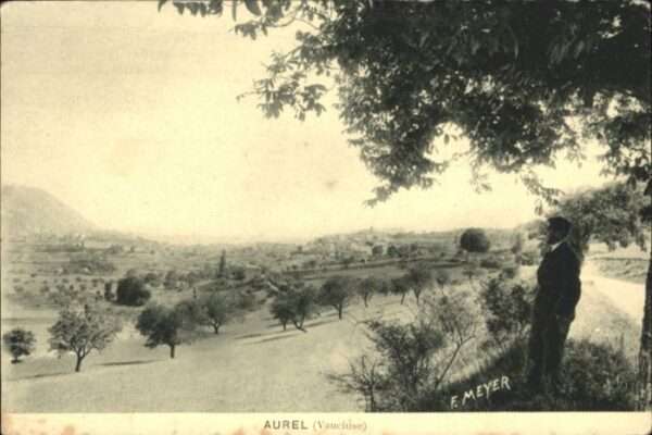 Aurel F Meyer