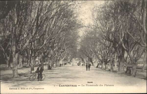 Carpentras Promenade Platanes Fahrrad