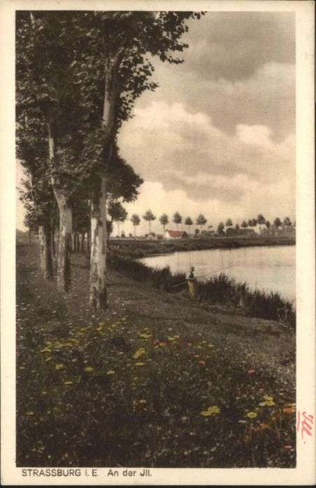 Strasbourg Alsace Strassburg_Elsass An der Ill