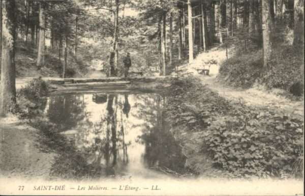 Saint-Die-des-Vosges Les Molieres L'Etang