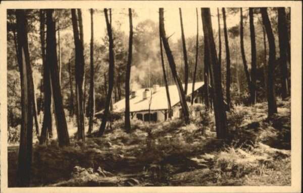 Soorts-Hossegor Villa dans la foret en bordure du lac