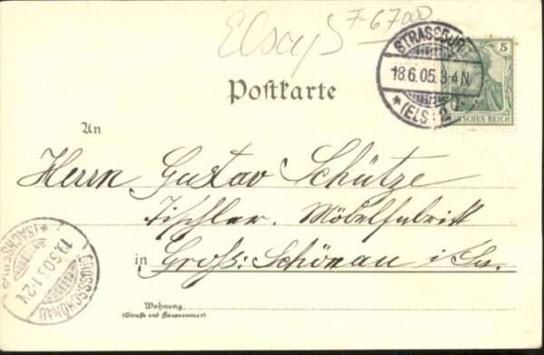 Strasbourg Alsace Strassburg_Elsass Blumen – Bild 2