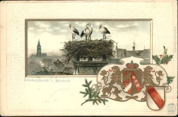 Strasbourg Alsace Strassburg_Elsass Storchnest Wappen