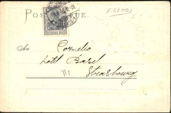 Strasbourg Alsace Strassburg_Elsass Storchnest Wappen – Bild 2