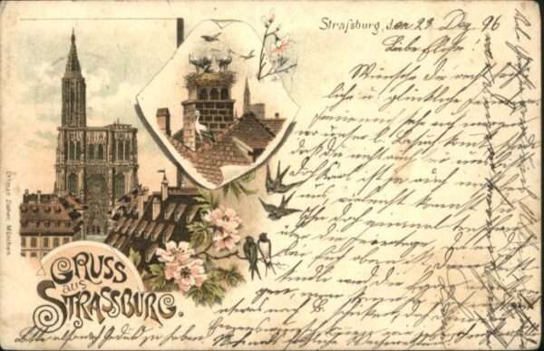 Strasbourg Alsace Strassburg_Elsass Storchennest