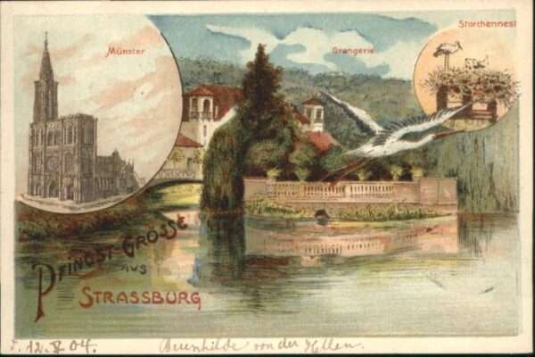 Strasbourg Alsace Strassburg_Elsass Münster Orangerie Sto