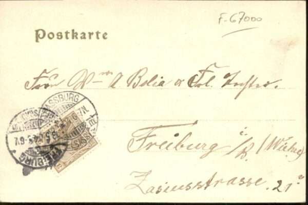 Strasbourg Alsace Strassburg_Elsass Münster Orangerie Sto – Bild 2