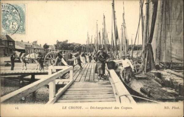 Le Crotoy Dechargement Coques Pferd