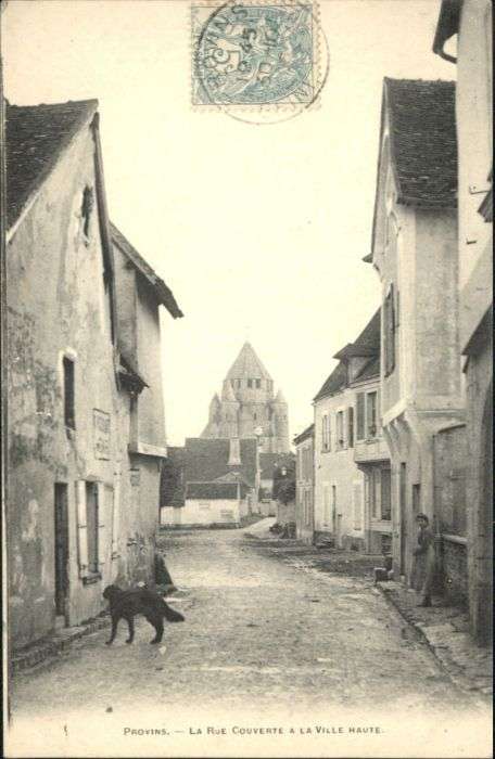 Provins Rue Couverte Hund
