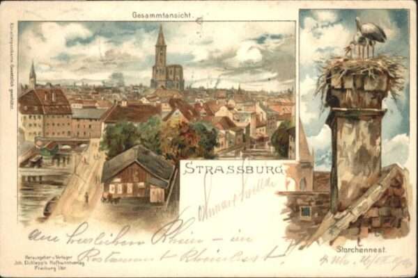 Strasbourg Alsace Strassburg_Elsass Storchennest