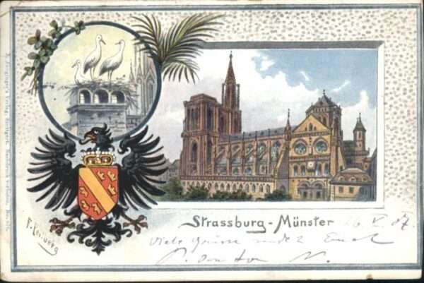 Strasbourg Alsace Strassburg_Elsass Münster Strorch