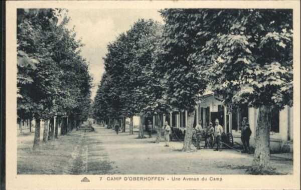 Oberhoffen-sur-Moder Oberhoffen  Une Avenue du Camp