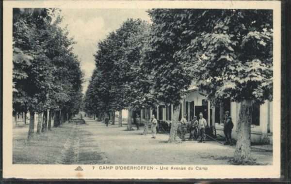 Oberhoffen-sur-Moder Oberhoffen Une Avenue du Camp