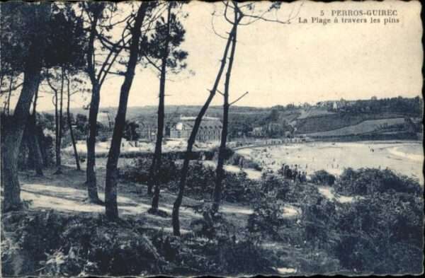 Perros-Guirec Plage Pins